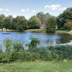 Meet your Posher, Pam